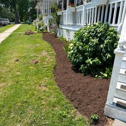 Freshly edged garden bed with dark brown mulch and a large leafy shrub along a white front porch beside the lawn