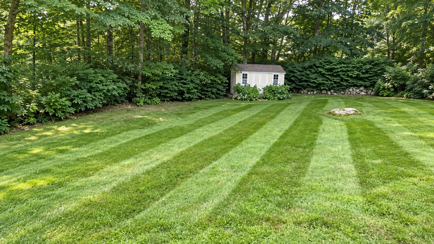 Freshly mowed lawn with light and dark stripes in a wooded backyard with a small tan shed and fieldstone wall